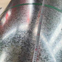 Plaque d'acier galvanisée plongée chaude de bobine en acier de revêtement de zinc de Z275g avec la grande paillette 0.7mm 0.8*1250mm