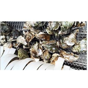 Bomba de agua de alta presión, limpiador de pulverización para acuicultura, almejas de mariscos y máquina de limpieza de arena para eliminación de ovejas - Product Image 6