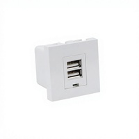 Module de chargeur USB en plastique USB-A USB-C double port certifié CE RoHS pour prise murale, hôtel, panneau de prise domestique