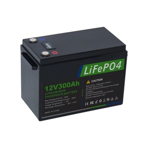 300h 12v 24v जीवन बैटरी लिथियम आयन सौर जीवन-8 बैटरी भंडारण लागत से लिथियम बैटरी फैक्टरी मूल्य - Product Image 2
