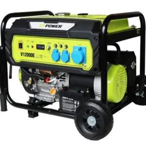 EFPOWER V12000E Hot Sale Gasoline Silent 3 Phase LPG Residential Standby Generator