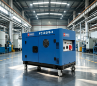 Générateurs diesel silencieux de 11 kW pour la maison, démarrage électrique, 12 kW max, moteur V-Twin bicylindre, groupe électrogène diesel AVR, réservoir de carburant de 25 L, 230 V