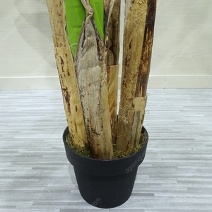 Faux bonsaï 150cm-300cm plante artificielle arbre véritable bois <span class=keywords><strong>bananier</strong></span> intérieur décor à la maison ornement <span class=keywords><strong>Musa</strong></span> Basjoo arbres décor à la maison plante - Product Image 6