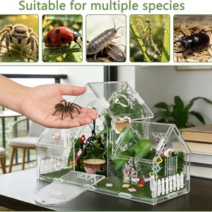 Terrario Acrílico para Arañas Arborescentes con Puerto de Alimentación Seguro, Ventilación y Fácil Limpieza, para Reptiles Pequeños y Tarántulas - Product Image 2
