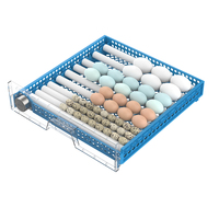 Taux d'éclosion de 98% Incubateur à œufs de poulet 100 œufs Machine d'éclosion automatique des œufs de volaille