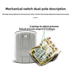 Pompe auto-amorçante JSK-2 avec interrupteur intégré, alimentation en eau sans réservoir à réglage mécanique, contrôleur mécanique réglable JSK-2 entièrement automatique - Product Image 2