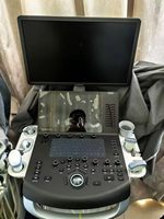 Échographe vétérinaire portable d'occasion Versana Premier avec technologie Doppler couleur