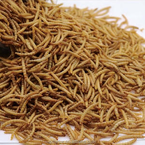 Vermi della Farina Essiccati all'Ingrosso del Produttore, Vermi della Farina Gialli Essiccati per Uccelli, Polli e Pesci - Product Image 4