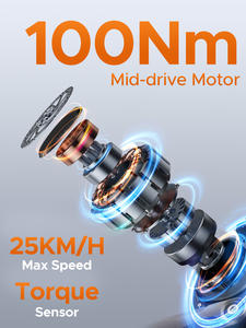 2025 Elektrische Bakfiets <span class=keywords><strong>200Kg</strong></span> Laadvermogen 48V 250W Middenaandrijving Motor 180Km Bereik 20 Inch Elektrische Hybride Fiets Stad Ebike Bici Familie - Product Image 6