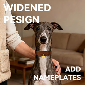 <span class=keywords><strong>Collar</strong></span> para Mascotas de Cuero PU, Acolchado, Impermeable, Clásico, Vegano, Diseño Ancho para Perros y Gatos - Product Image 6