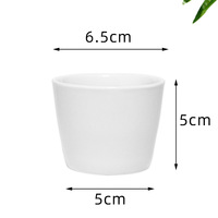 Ensemble de 12 pots à cactus en céramique T4u, ronds, décoratifs, blancs, pour plantes d'intérieur, avec soucoupes, pour les amateurs de plantes, décoration de bureau, étagère, fenêtre