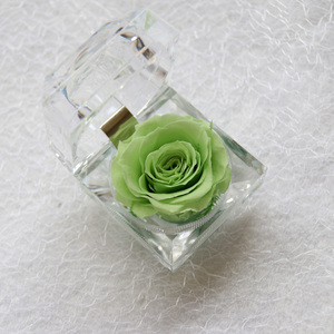Romantic engagement Preserved flower ring box for valentine gifts flowers and plant