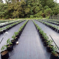 UV-bestendig 90gsm PP geweven gronddoek onkruidmat zwart met groene markeringslijn onkruidbestrijdingsdoek voor tuin en kas