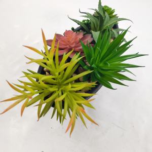 Arrangement décoratif en forme de bateau assorti Pot en ciment pour la maison, la <span class=keywords><strong>cuisine</strong></span>, le bureau Décor de graduation Vert pour étagère de bureau - Product Image 2