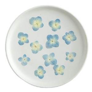 Hydrangea bleu naturel, fournitures pour la création de cartes, bijoux en résine, plante naturelle, fleur pressée véritable, écologique - Product Image 2