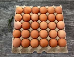 Fabricant chinois avec des cartons d'œufs empilables à des prix <span class=keywords><strong>moins</strong></span> chers qui contiennent plusieurs œufs - Product Image 4