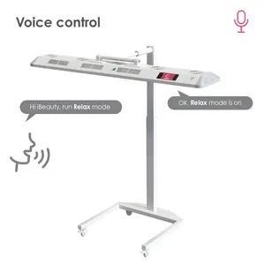 BIOMOL Painel de terapia de luz com controle de voz com luz vermelha personalizada LED terapia de luz vermelha infravermelha