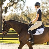 Vêtements d'équitation de haute qualité, logo personnalisé, maille, chemises de spectacle d'équitation pour femmes, couche de base tendance, fabriquées en élasthanne
