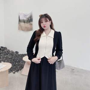 เดรสสีดำแขนยาวทรงเอไลน์ คอปก ซิปหน้า แต่งสีตัดกัน เอวยางยืด ไซส์พลัส สวมใส่สบายๆ ได้ทุกวัน - Product Image 2