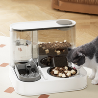 Distributeur automatique d'eau et de nourriture pour chat, bol intégré pour chat, distributeur d'eau, bol d'alimentation pour animaux de compagnie