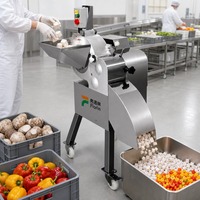 Hoge snelheid snijmachine voor groenten, fruit en vlees; geschikt voor het snijden van aardappel, wortel, mango, bevroren rundvlees en varkensvlees in blokjes.