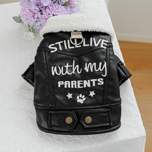 PETCIRCLE - Product Image 5