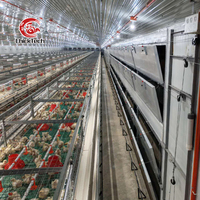 Type H nouvel équipement automatique en acier de ferme avicole batterie à plusieurs niveaux Cage de poulet de chair pour usage domestique Type de poulet à œufs