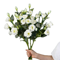 Real Touch Kunstmatige Witte Lisianthus Bloemen, Kunst Eustoma Bloemboeket voor Bruiloft Tafeldecoratie Huis Feest DIY Bloemdecoratie