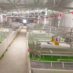 Fabrika fiyat toptan domuz çiftliği domuz kafesi ekipmanları yetiştiriciliği tezgahları PVC Sow Farrowing sandık - Product Image 6
