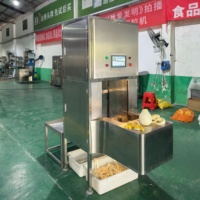 DQ Guangdong Industriële Intelligente Fruit Pomelo Schilmachine PLC-gestuurd Commerciële Automatische Multifunctionele 500 Stuks/uur