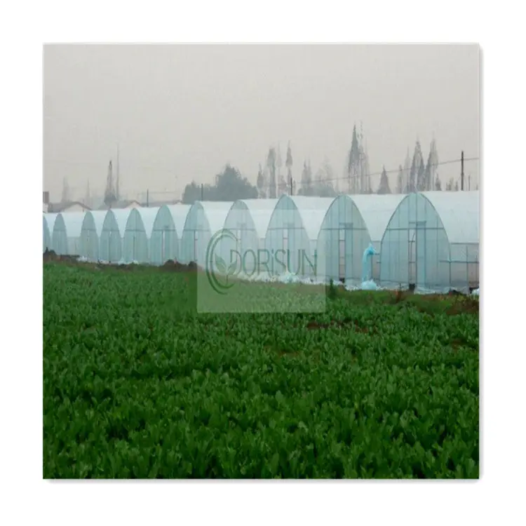 Parasole rete orto serre foglio di plastica semi di fiori serra agricola in vendita