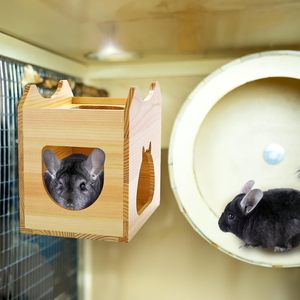 Casa de madeira para chinchila com vários orifícios de entrada para pequenos animais - Product Image 3