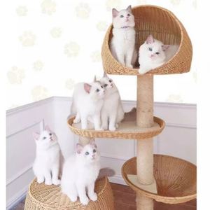 Torre de condominio de árbol moderno, madera de pino con rascadores de sisal natural, Cestas tejidas, marco de escalada - Product Image 4