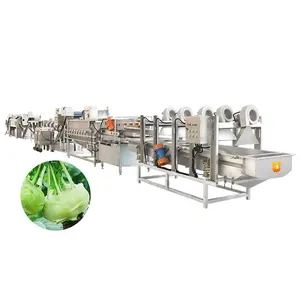 Ticari düşük fiyat konveyör bant sebze Julienne dilimleme parçalama makinesi sebze yıkama kesici hattı hindistan japon