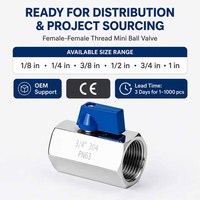 Vanne à bille miniature hygiénique en acier inoxydable SS3016/304 1/4\" NPT Pn63, filetage femelle-femelle F/F