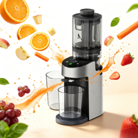 OEM Citrus- en groentesapcentrifuge met gaasfilter, slowjuicer, krachtige DC-motor, eenvoudig te reinigen, hoge opbrengst, sapcentrifuge met aangepaste logo's