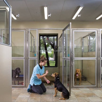 Nouvelle niche de luxe respirante pour chien avec porte en verre à motif et fermeture à bouton-poussoir, fabriquée en acier inoxydable durable