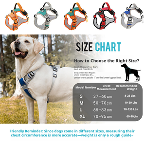 طقم طوق وحزام للكلاب بتصميم جديد عاكس للضوء، سترة مبطنة قابلة للتعديل للتدريب في الهواء الطلق وحماية الكلاب - Product Image 3