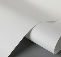 Rouleau de toile en coton polyester 280 340 360 g/m², toile mate ou brillante pour artiste, compatible avec les imprimantes à pigments et à encre Epson