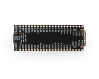 Papan Pengembangan Sipeed Litchi Candy Tang Nano 4K HiSilicon FPGA GoAI