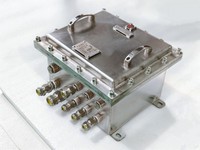 Caja Eléctrica a Prueba de Explosiones IP66 SS316L Ex Db IIB T4 Gb LD-FBJX-I 220V 24V 10A, Caja de Conexiones Industrial Mecanizada por CNC