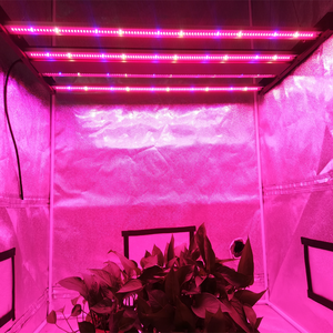 Đèn Led Trồng Cây Hortlight 320W 4 Bar, Đèn Led Điều Khiển Từ Xa Và Có Thể Điều Chỉnh Độ Sáng Cho Hoa Hồng - Product Image 3