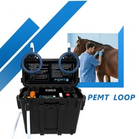 Appareil de thérapie PEMF pour chevaux, haute intensité, boucle magnétique pulsée 24700 Gauss pour la récupération des performances équines et le soutien articulaire