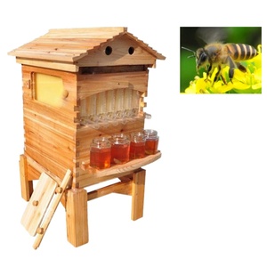 Hot <b>Sale</b> Automatic <b>Beehive</b> Wooden <b>Beehive</b> Box Pine Wood Plastic Frame <b>for</b> Beekeeping Farm Use Competitive Price - Product Image 5
