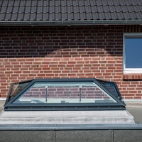 Offre Spéciale moderne de fenêtre de grenier de lucarne en acier à haute étanchéité pour les salles de bains de villa graphique à cadre en acier de style ouvert fixe