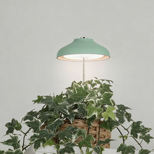 J&C Minigarden Charloe met adapter - Startbloemenzaden binnenplantenkweker groeilamp groene zaadpotten - Product Image 1