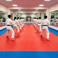 Tatami de Judo de Cinco Líneas, Tapete de Espuma EVA de 100x100cm, Grado Competición, Antideslizante, Resistente a Impactos, Tapete de Entrenamiento para Dojo, Venta al Por Mayor de Fábrica
