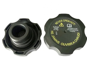 Il 8200048024 del serbatoio <span class=keywords><strong>liquido</strong></span> del <span class=keywords><strong>radiatore</strong></span> del sistema di raffreddamento è adatto per Renault-Nissan - Product Image 2