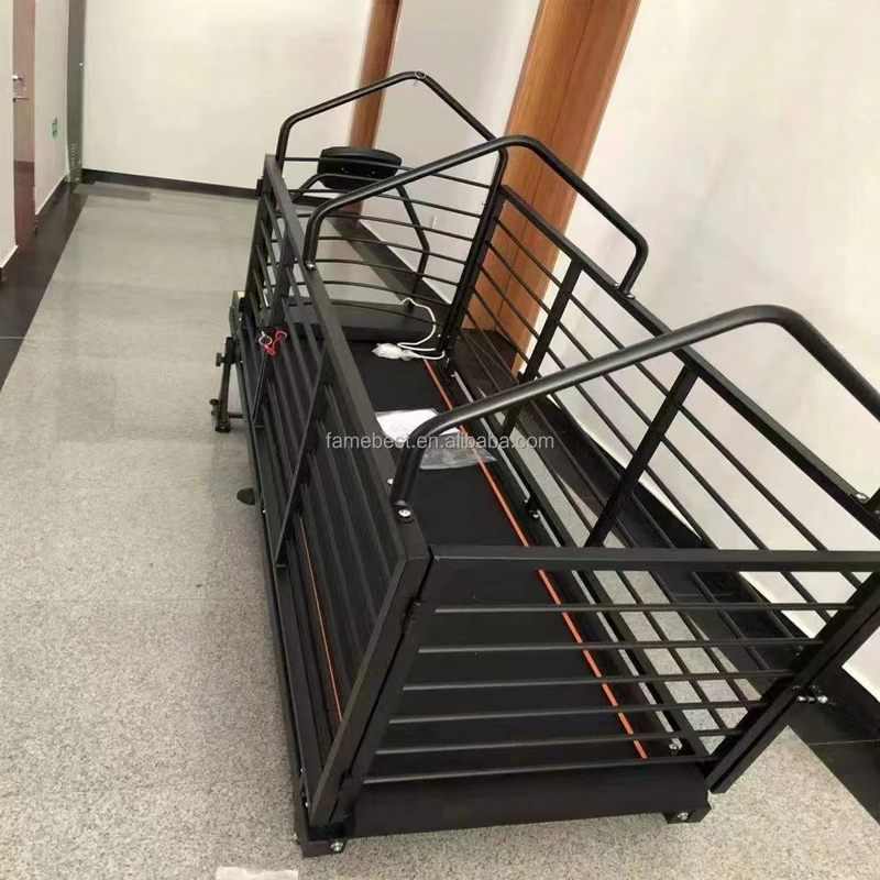 Indoor Pet Training Supplies Dog Running