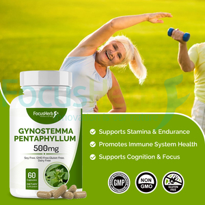 FocusHerb Organic Gynostemma <strong>Pentaphyllum</strong> <strong>Extract</strong> 500mg Jiaogulan Capsules